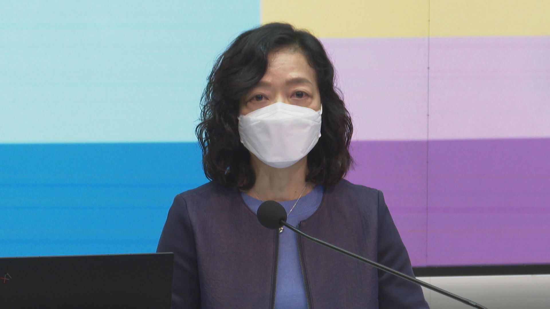 王學玲出任律政司政務專員