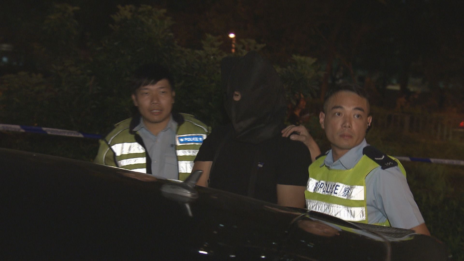 大埔私家車司機涉瘋駕被捕一警傷