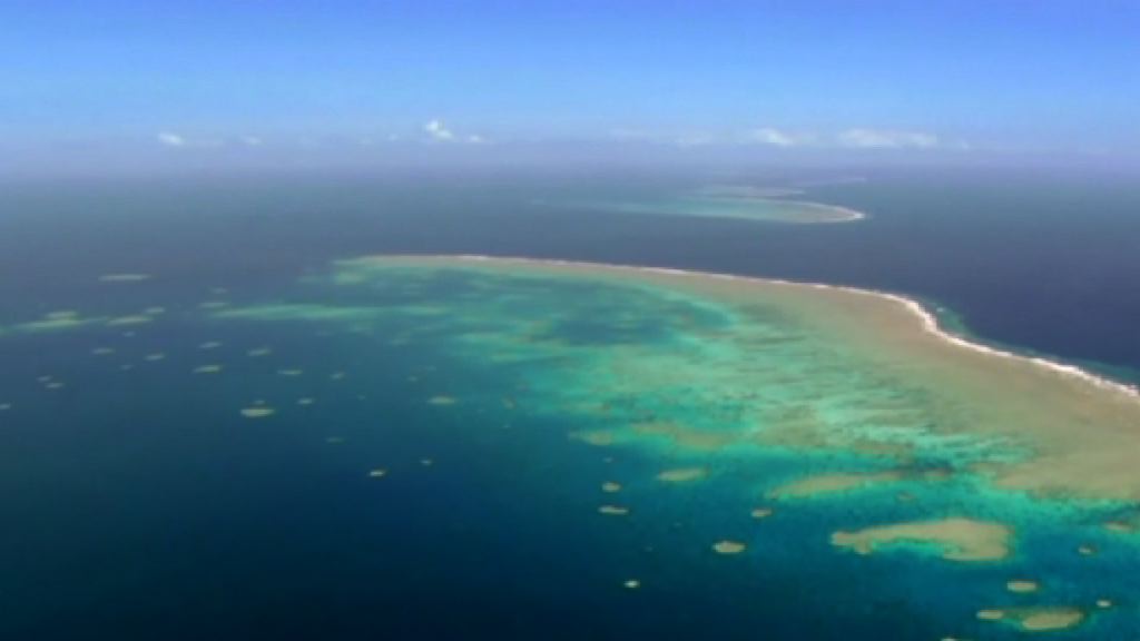 王毅：南海行為準則草案是共同努力成果