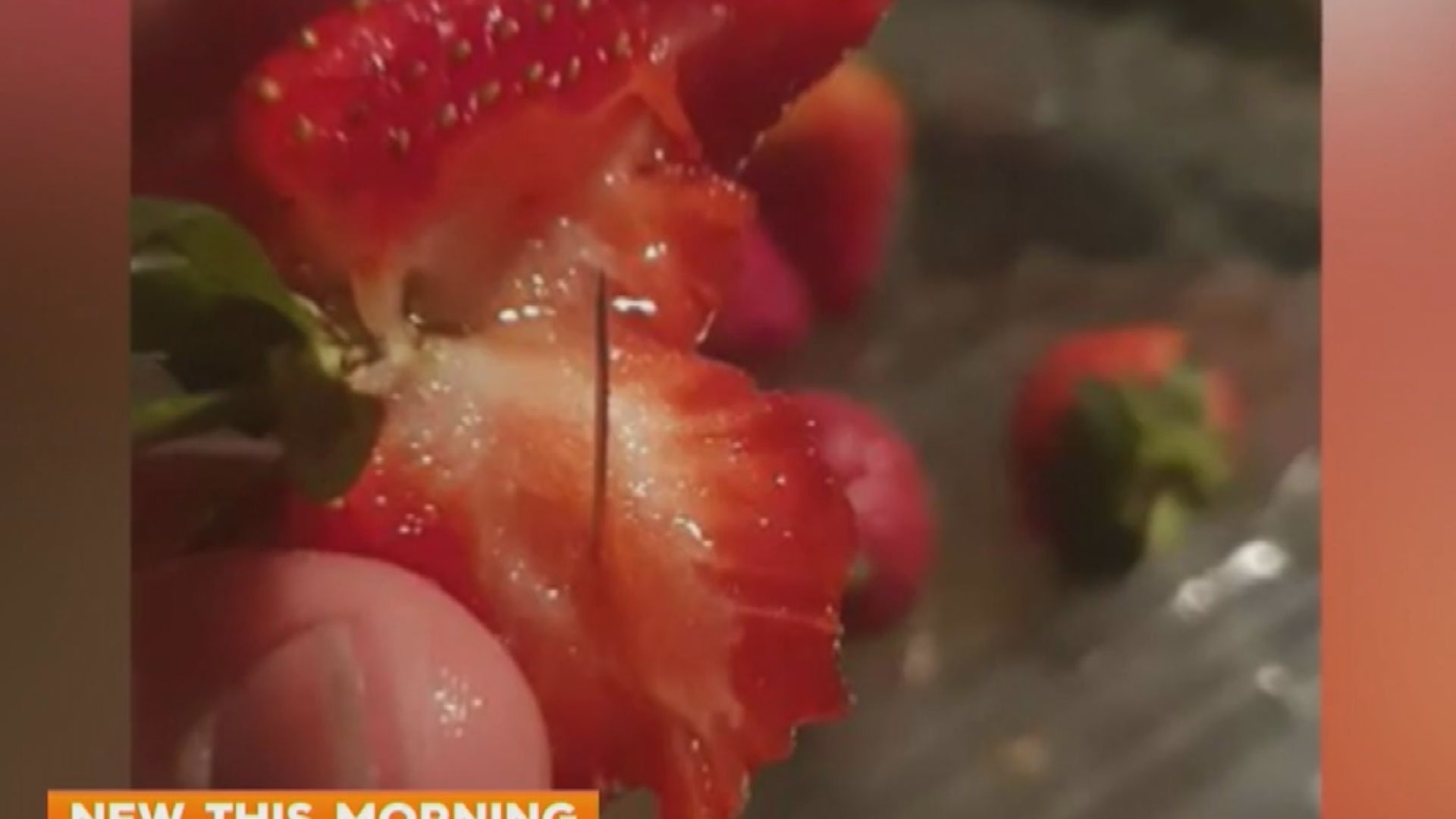 澳洲就士多啤梨藏針事件展開全國調查