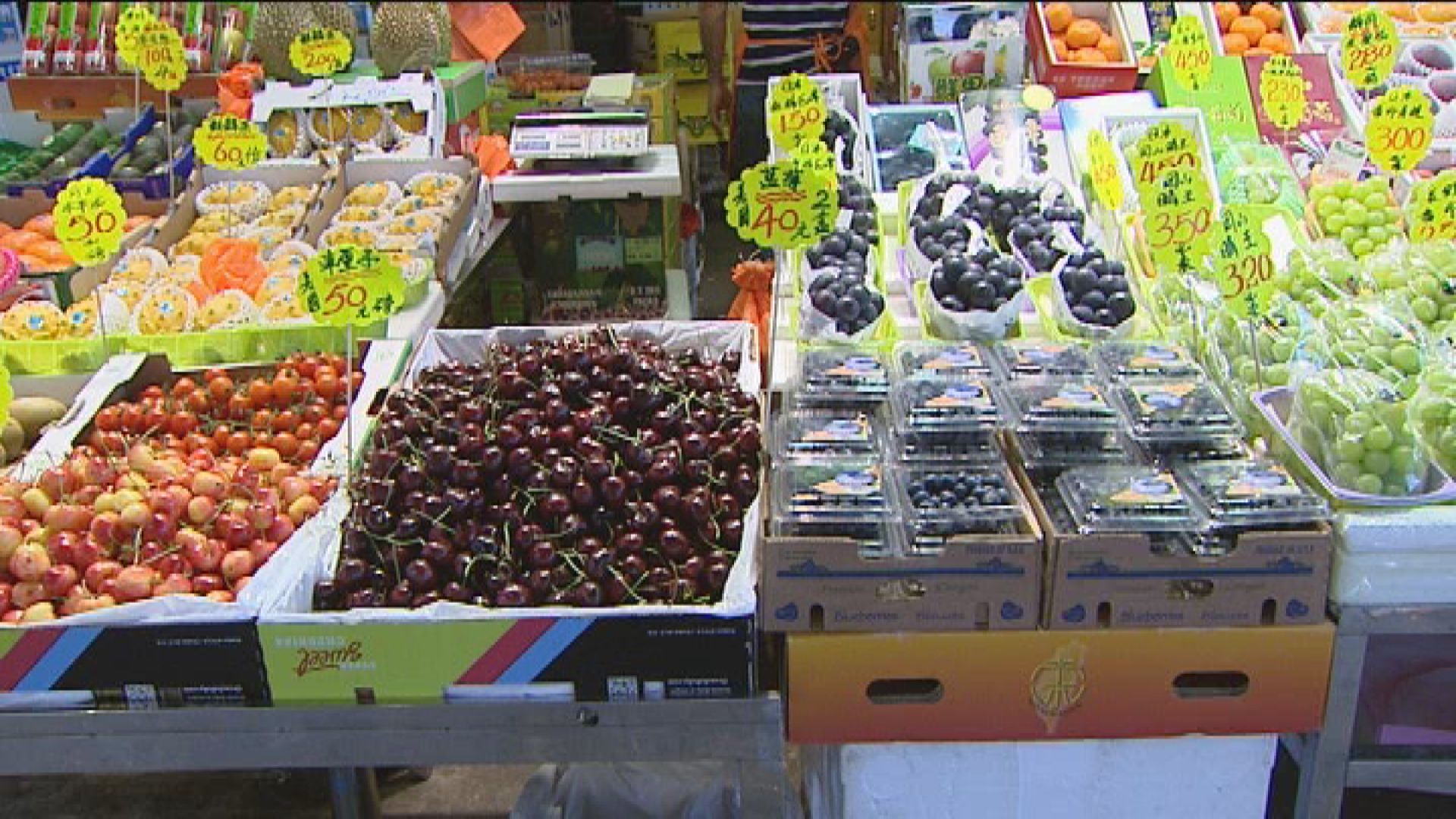 審計報告指食物監察計劃測試冗長