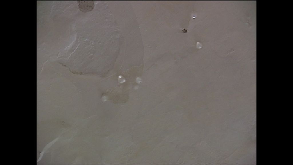 食環屋宇署被批處理滲水需時太久