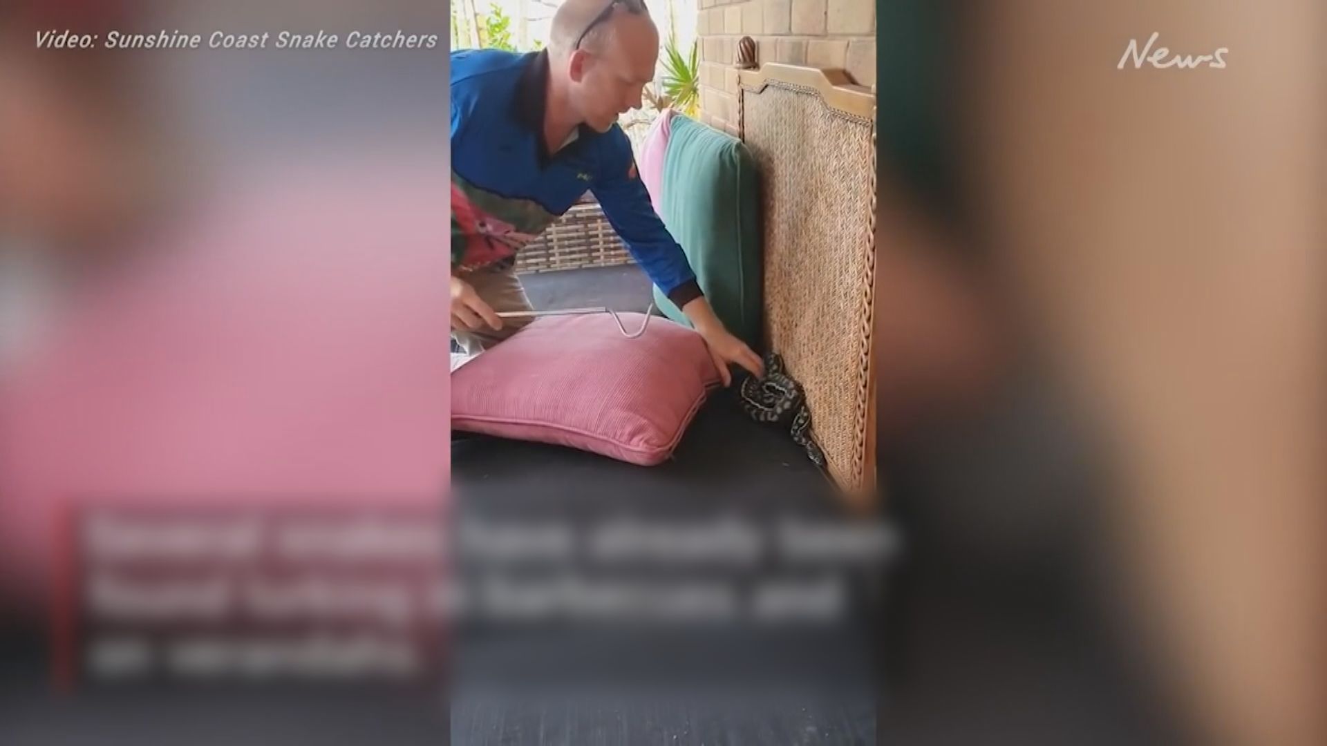 澳洲水災動物大逃亡　逾萬居民緊急疏散