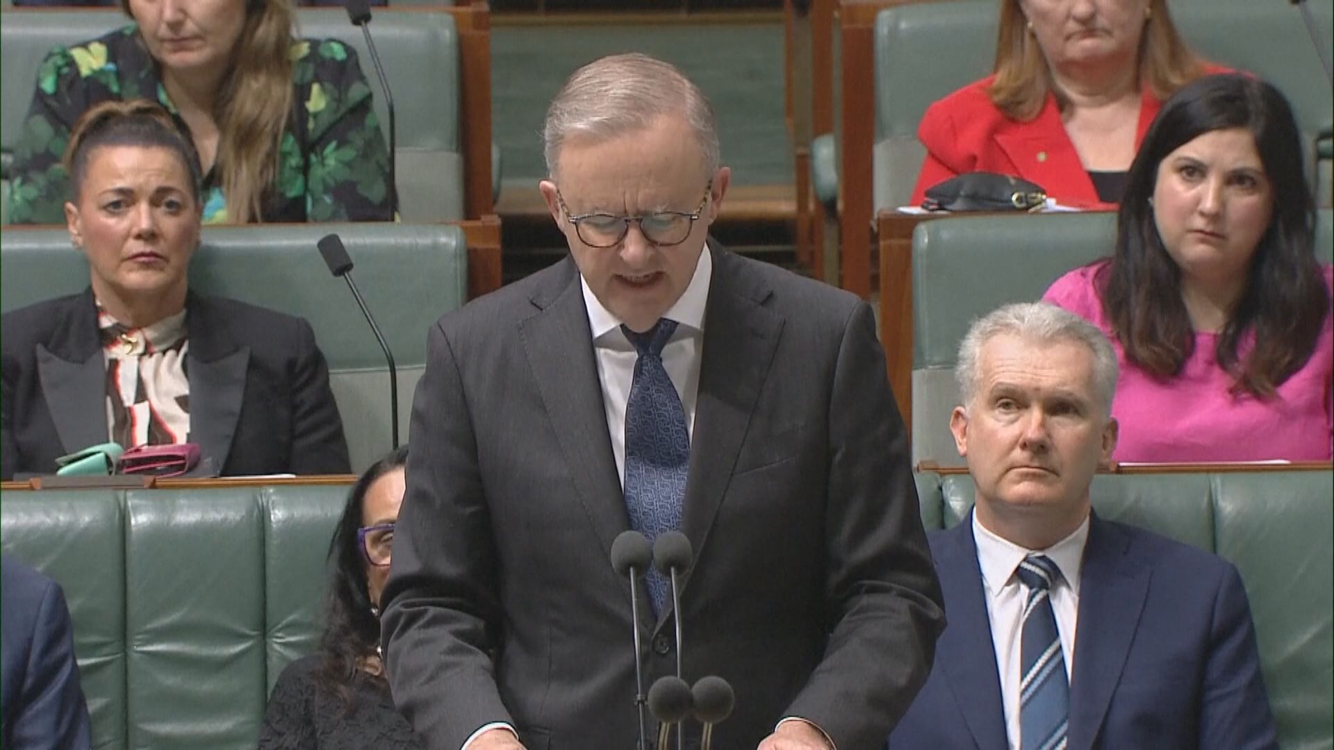 阿爾巴尼斯就「沙利度胺悲劇」道歉