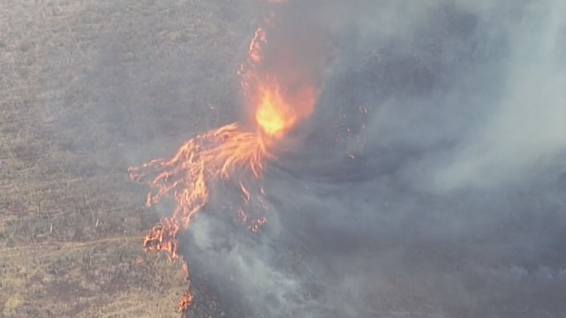 澳州高溫天氣下多處山火持續