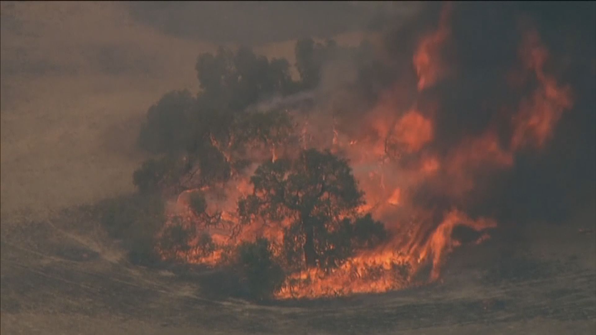 澳洲新南威爾士州山火仍未受控　大量房屋被焚毀