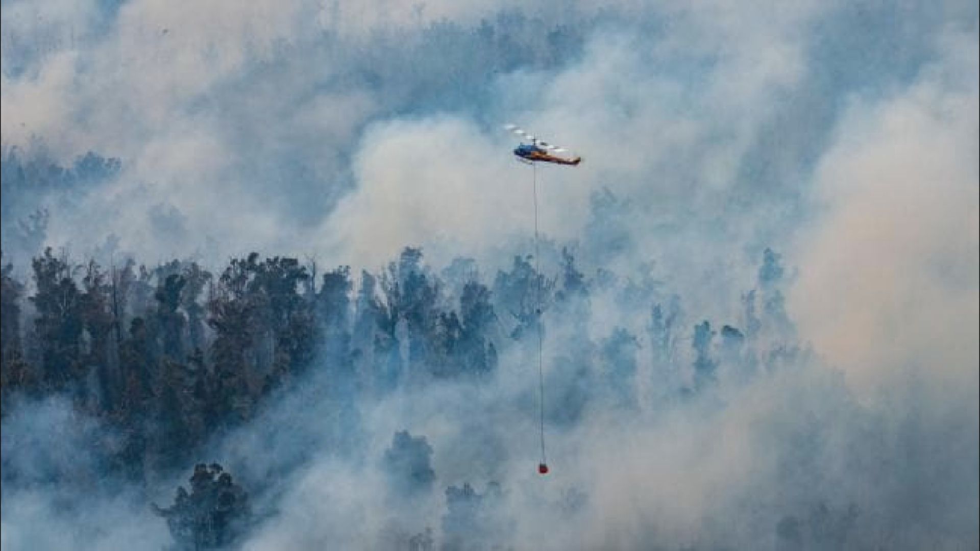 澳洲山火持續　新南威爾士再發緊急狀態