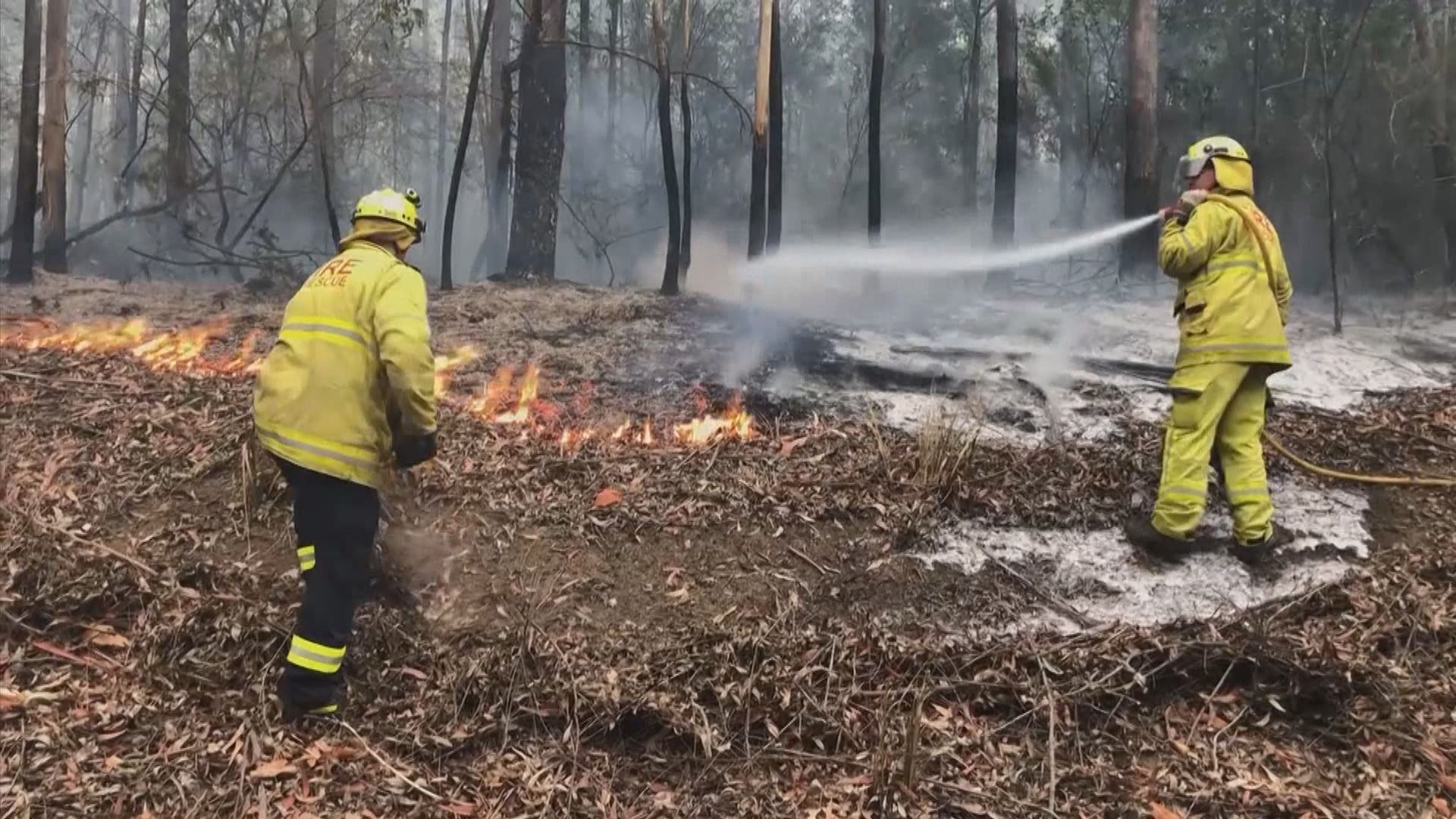 澳洲山火持續逾百火頭仍在焚燒