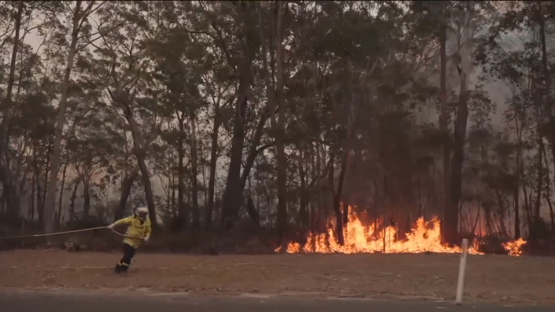 澳洲山火持續　總理指或會延續多月