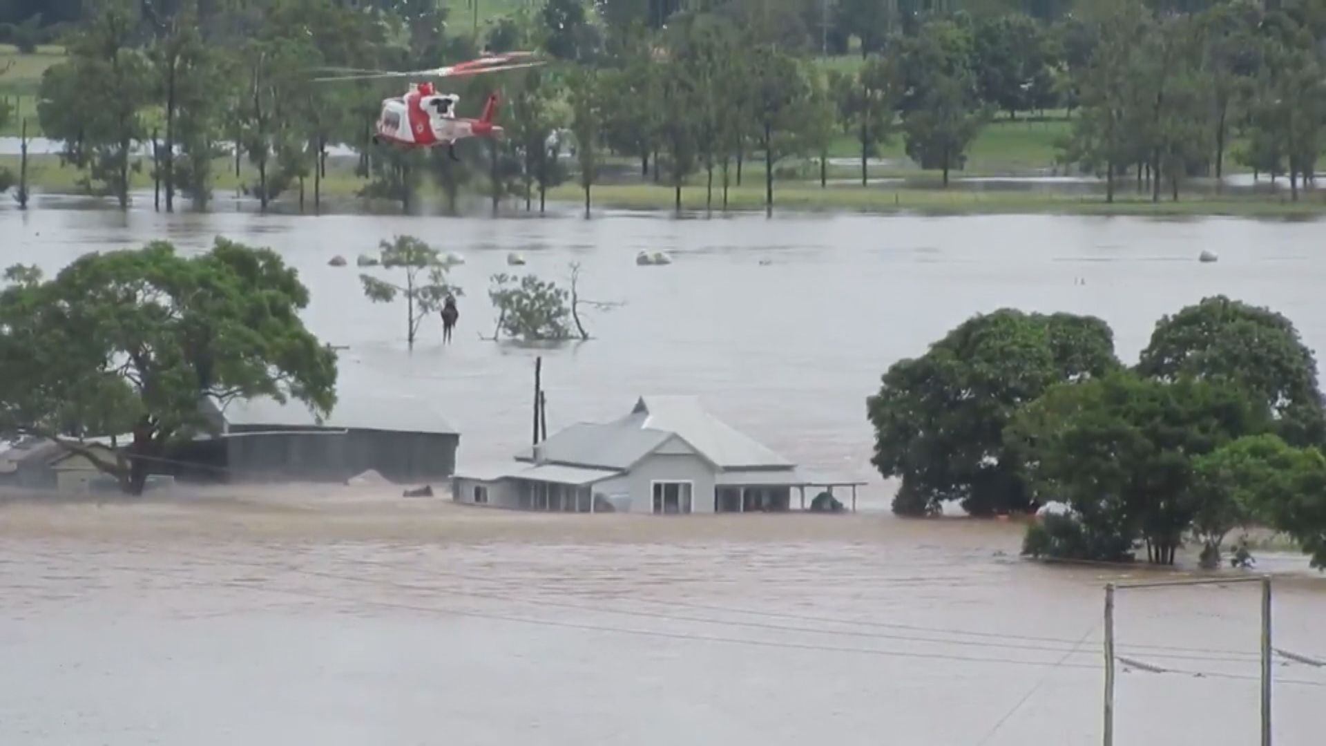 澳洲新南威爾士州暴雨持續　料過百間房屋被破壞