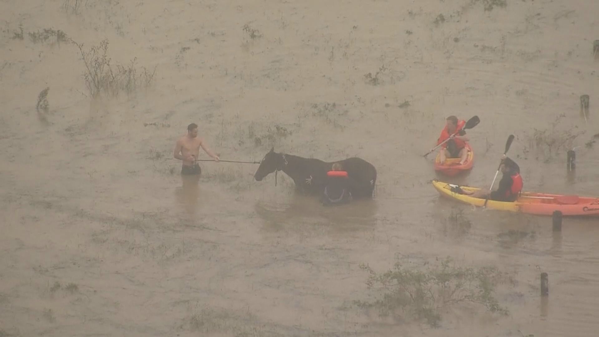 澳洲新南威爾士州水災　逾1.8萬人要撤離