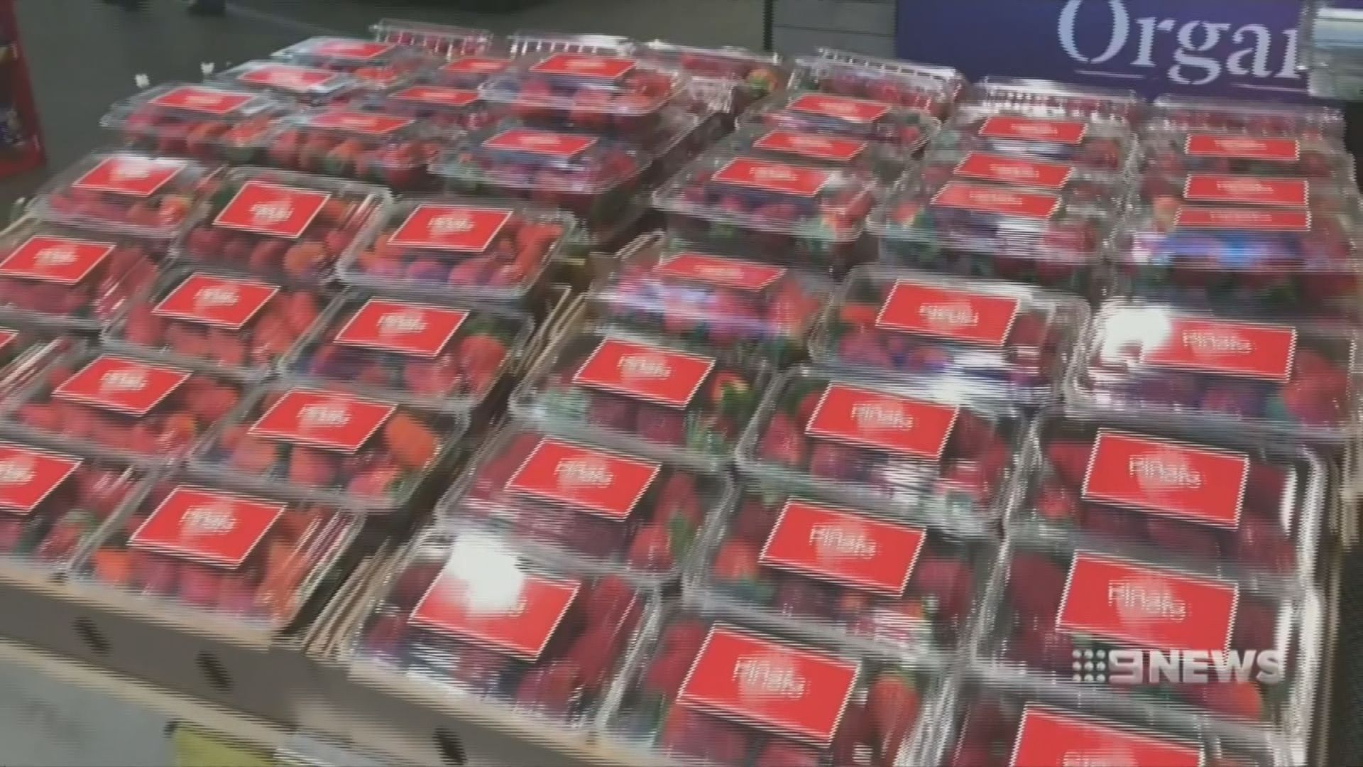 澳洲北領地首次發現士多啤梨藏針