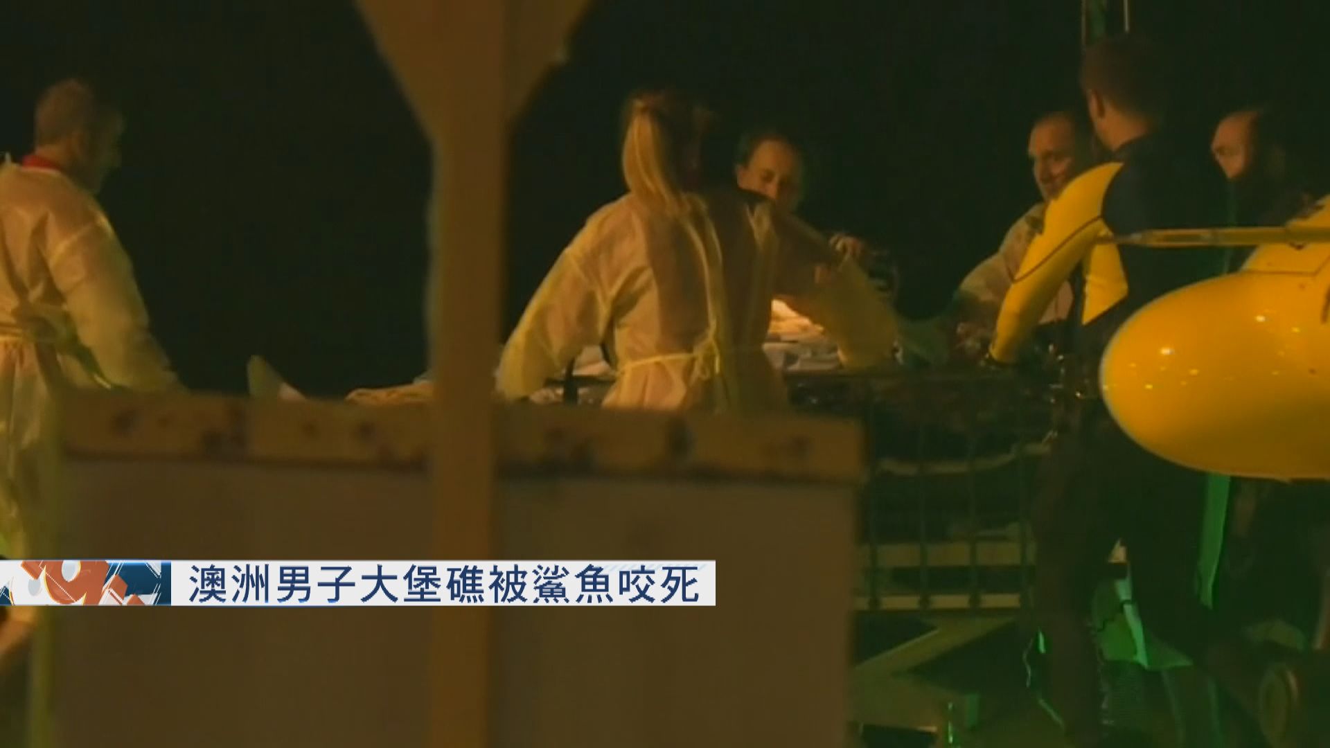 澳洲男子於大堡礁被鯊魚咬死