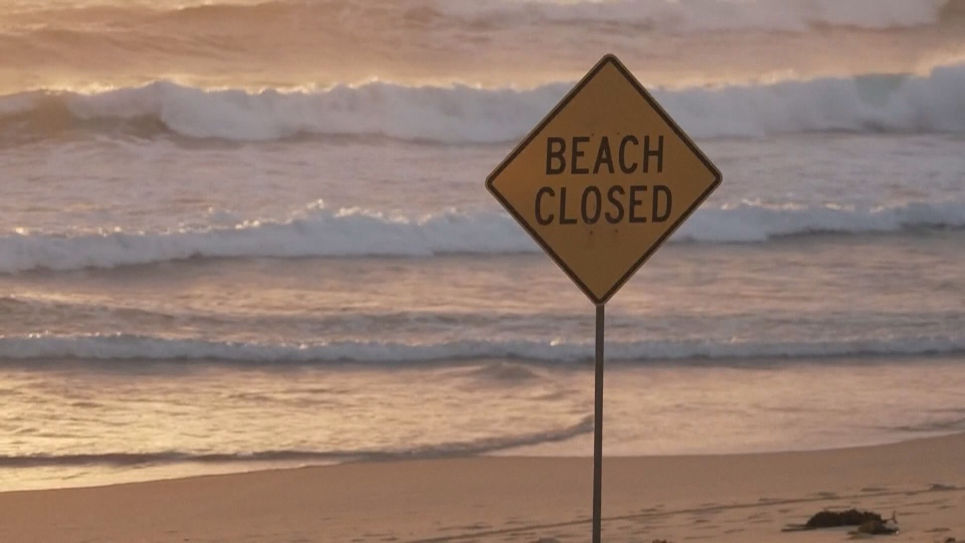 澳洲三日四宗鯊魚襲擊人事件　當局呼籲民眾別下水