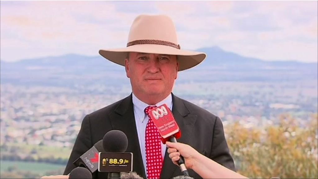 澳副總理擁雙重國籍喪失議員資格