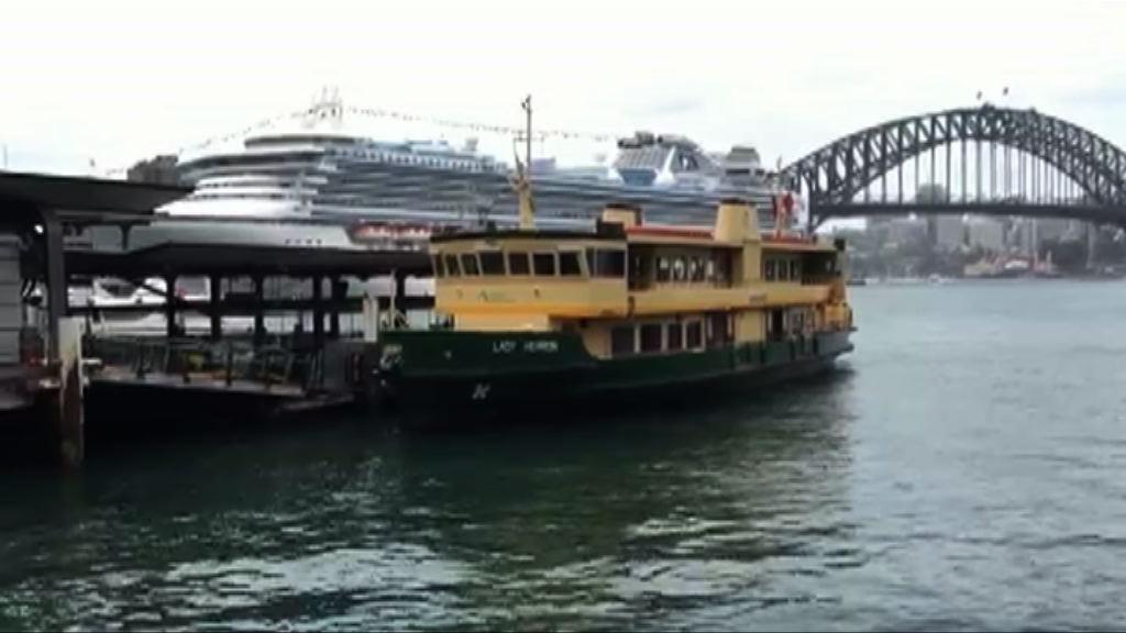 悉尼新渡輪以網絡潮語命名