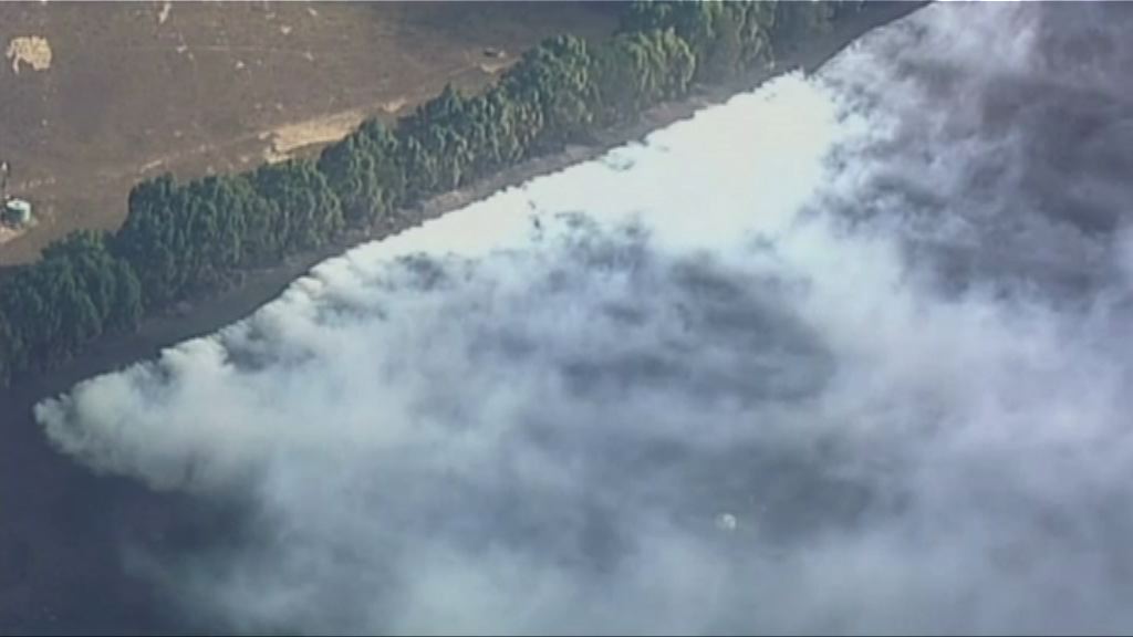 澳洲東南部山火逾百棟建築物損毀