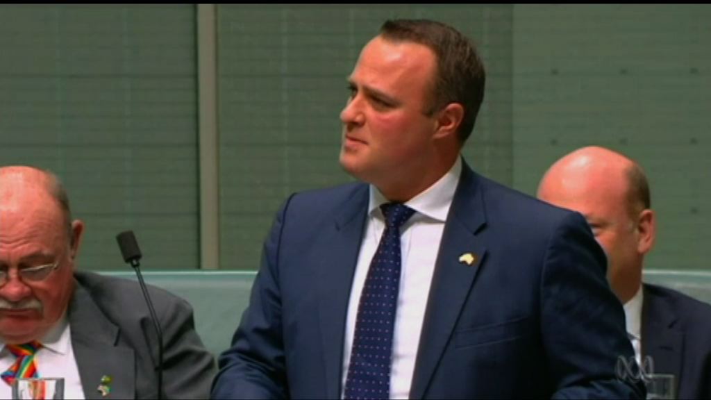 澳洲議員辯論同性婚姻期間求婚