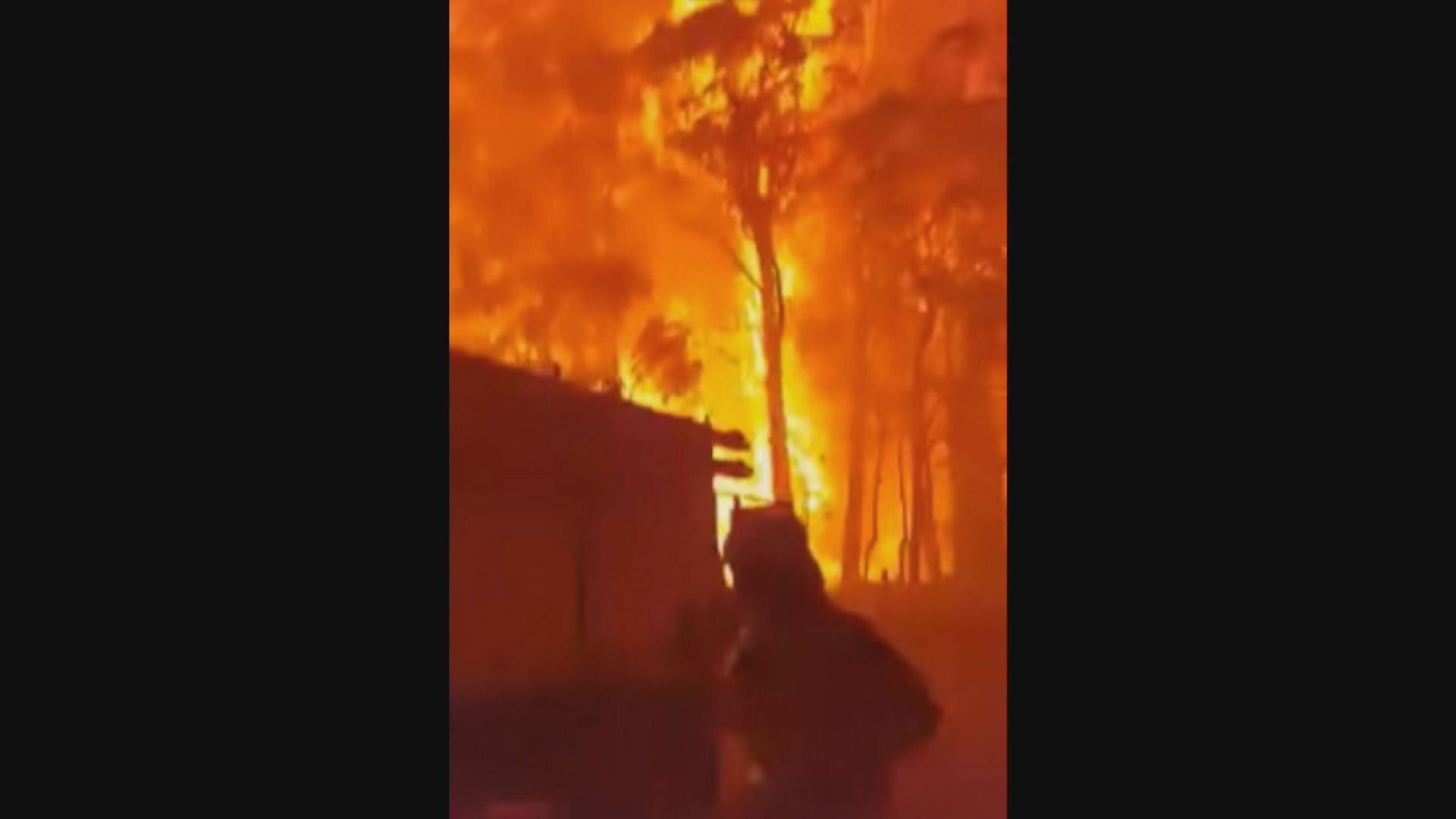 澳洲新南威爾士州山火過百火頭未受控