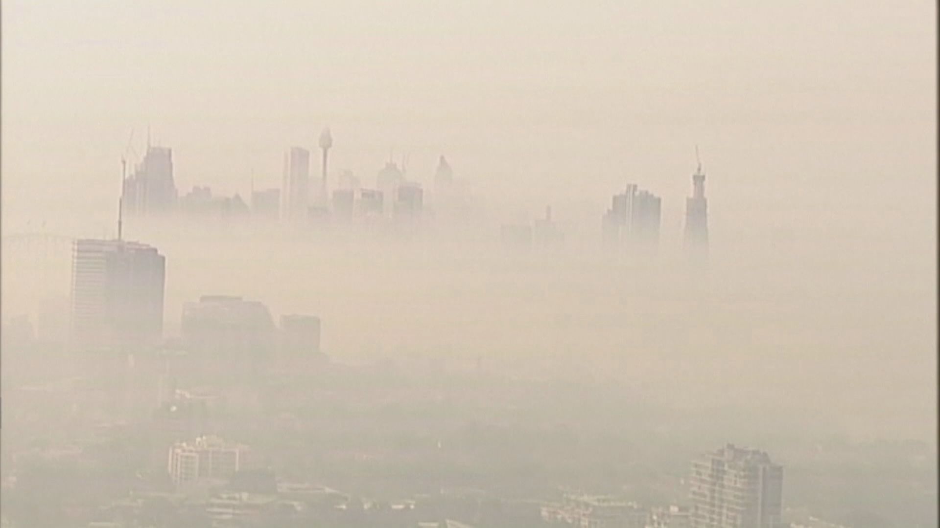 悉尼被山火煙霧籠罩　空氣質素惡劣