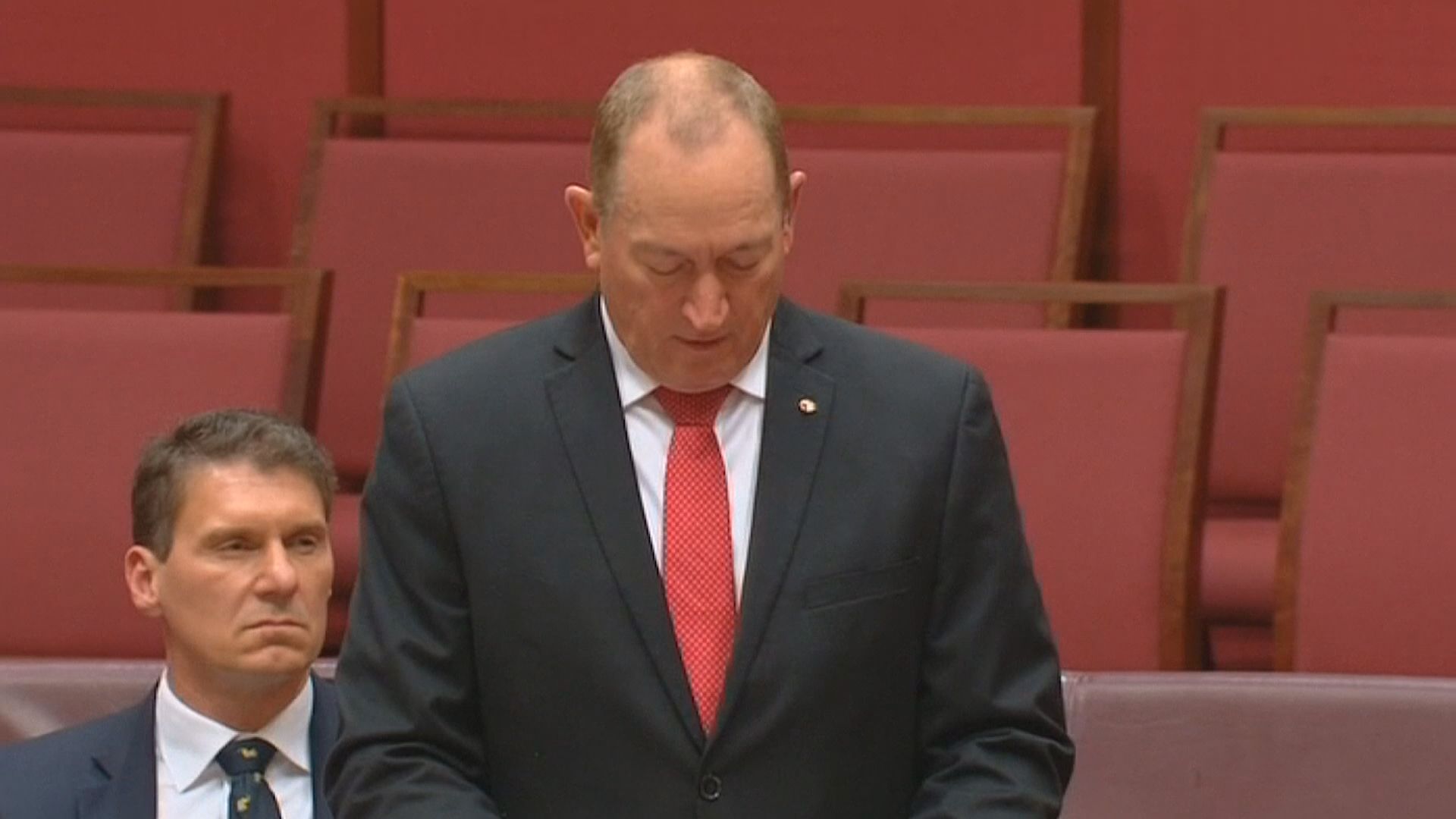 澳洲參議員安寧提出的「最終辦法」受抨擊