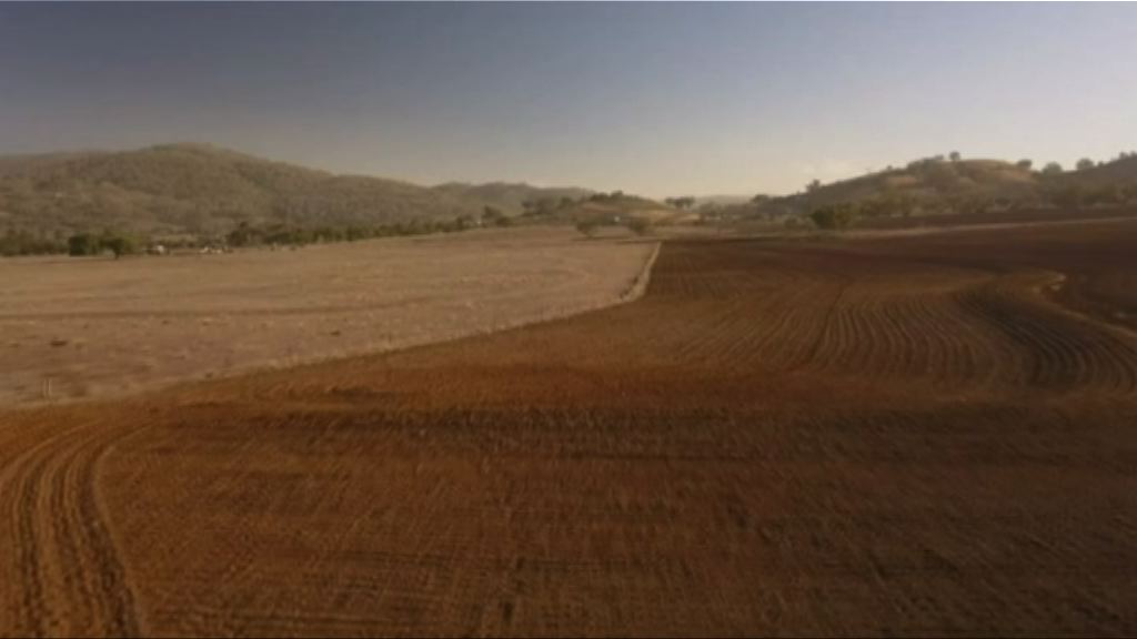 澳洲新南威爾士州嚴重旱災