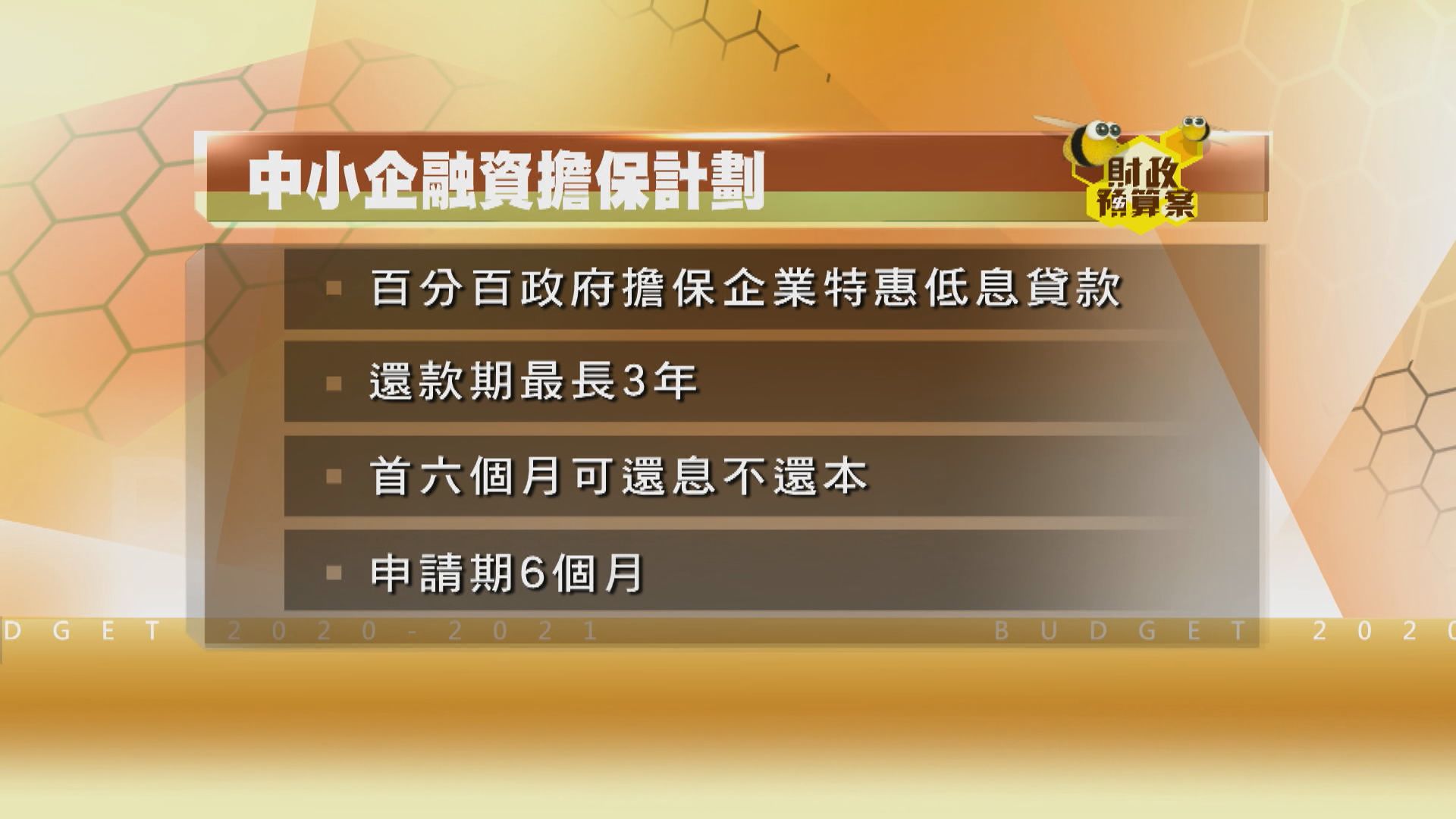 【預算案】推百分百政府擔保的企業特惠低息貸款