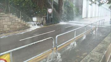 天文台利用AI捕捉雨帶發展　颱風預報誤差稍勝傳統模式