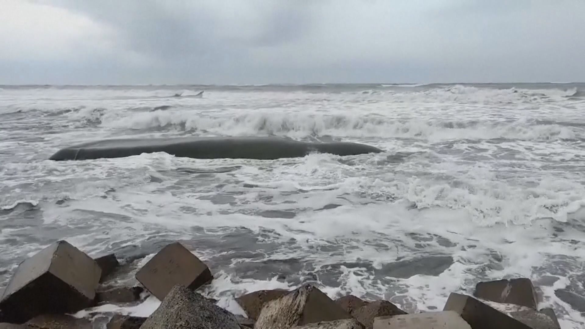 風暴「摩卡」迫近孟加拉及緬甸沿岸 數十萬人需要疏散