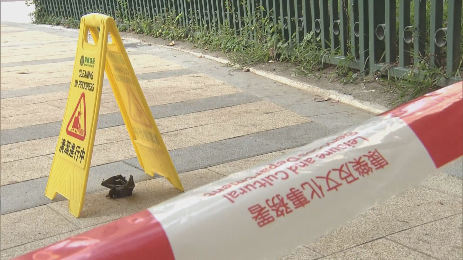 沙田一個公園對開行人路發現蝙蝠屍體