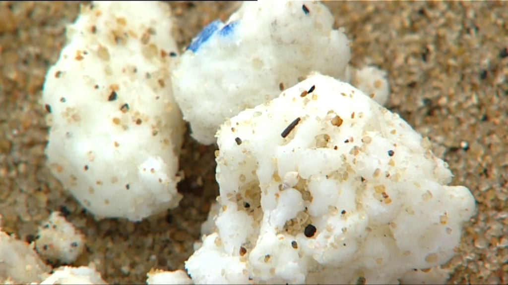 環保團體憂棕櫚硬脂污染物進入食物鏈