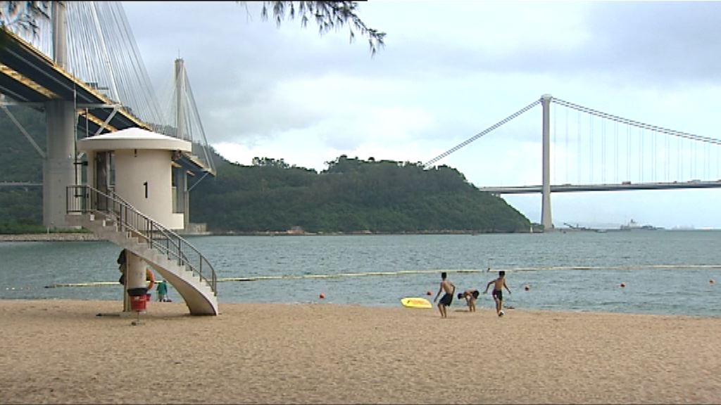 荃灣麗都灣發現海毛蟲