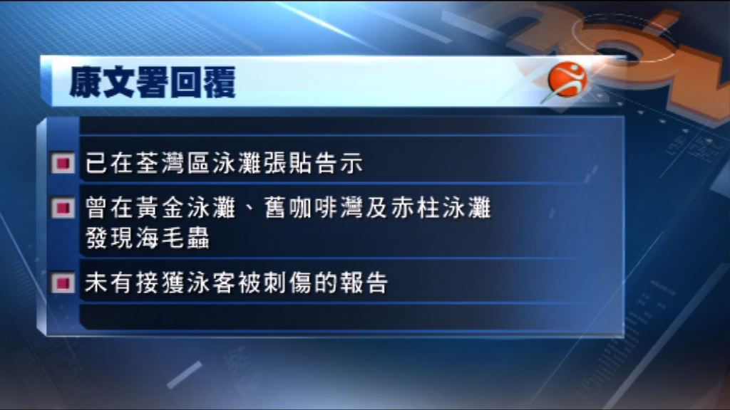 康文署：至今未有接獲泳客被海毛蟲刺傷報告