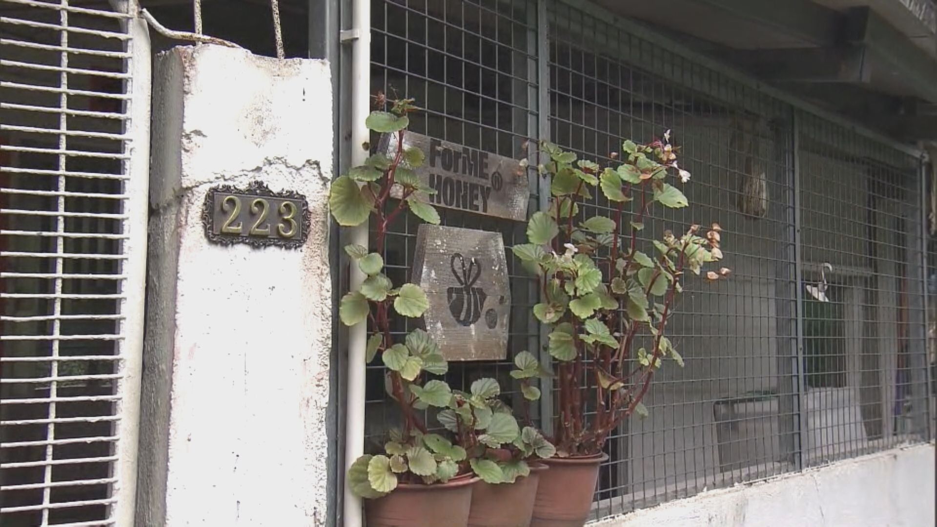 蜜蜂養殖場主人疑遭黃蜂螫傷留醫兩晚不治 行山客稱會做好預防