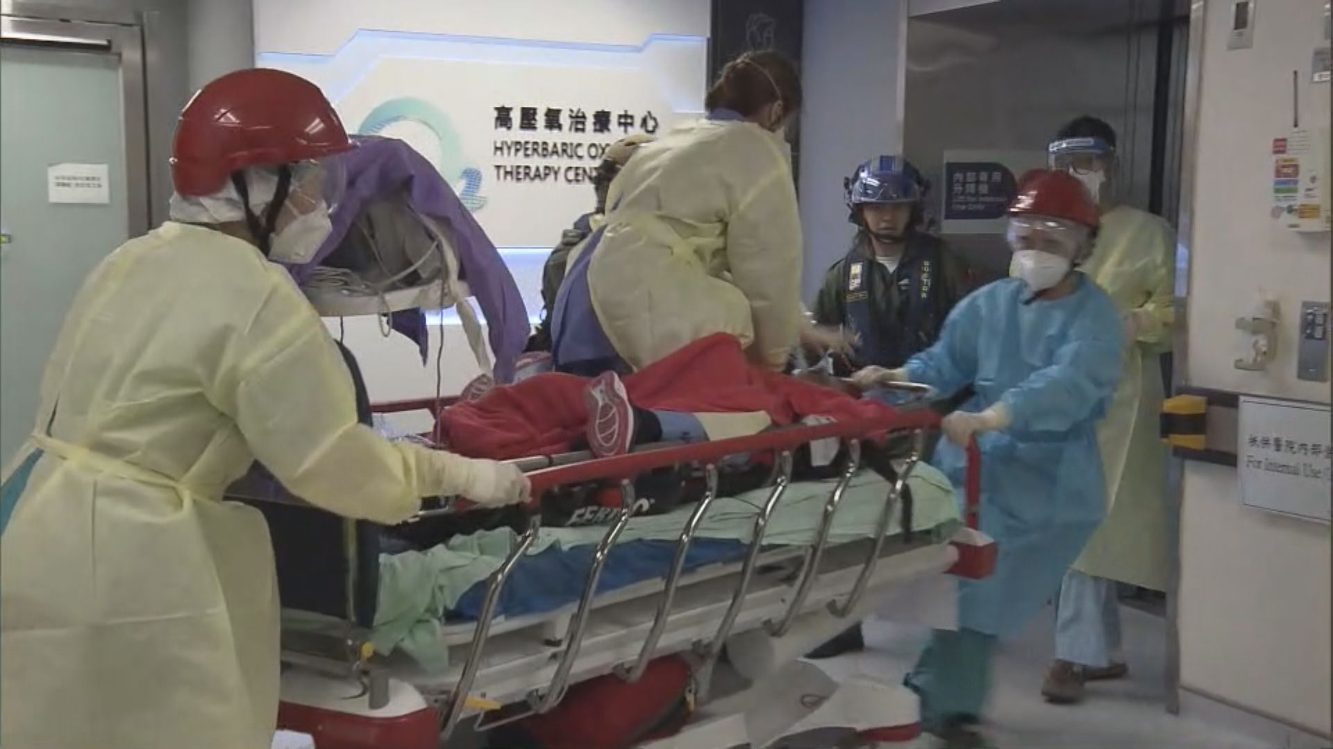 漁護署職員芝麻灣徑遭蜂螫致死 攀山專家：遭蜂群襲擊應蹲下保護頭部