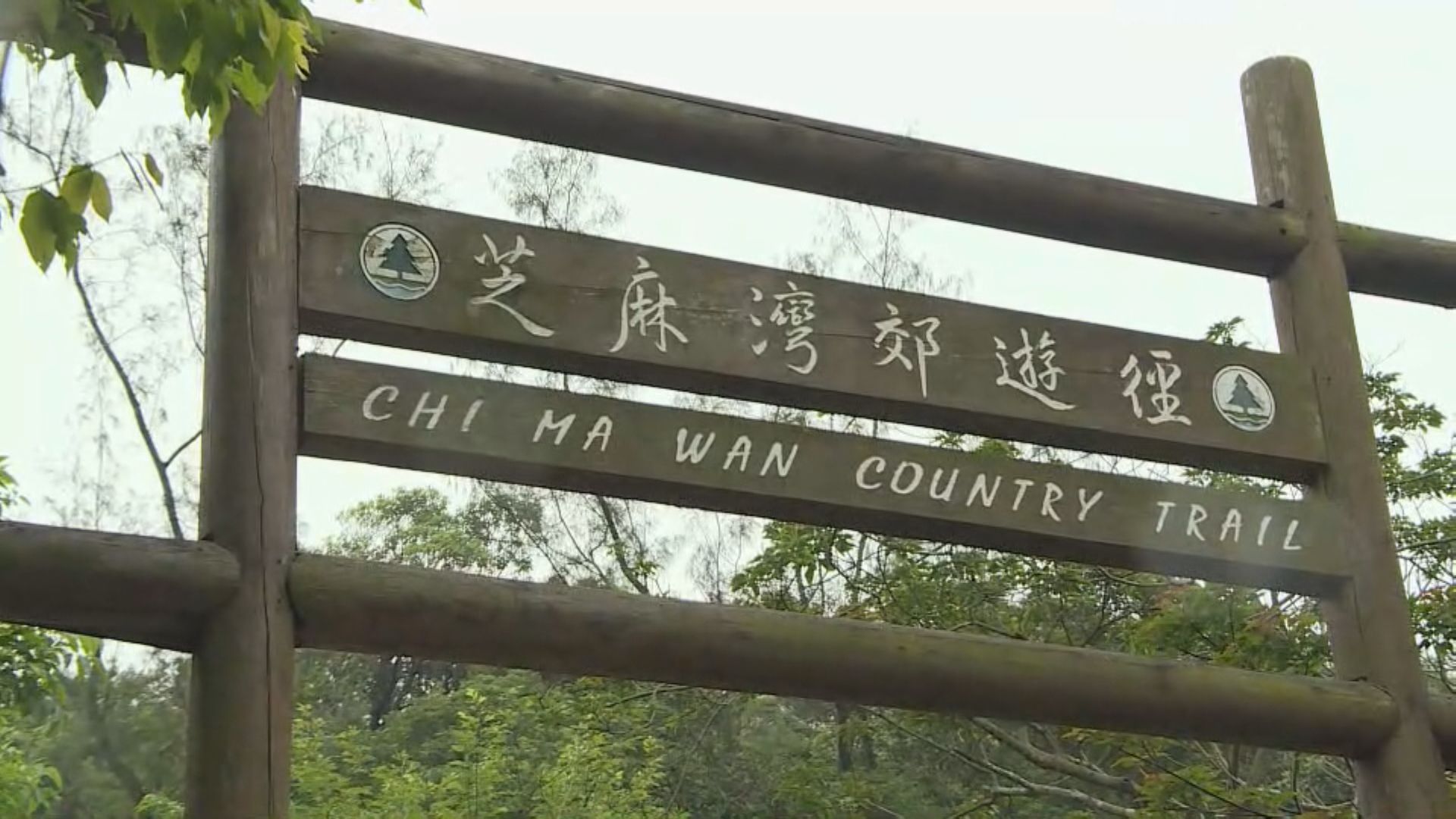 漁護署職員芝麻灣徑遭蜂螫致死 攀山專家：遭蜂群襲擊應蹲下保護頭部