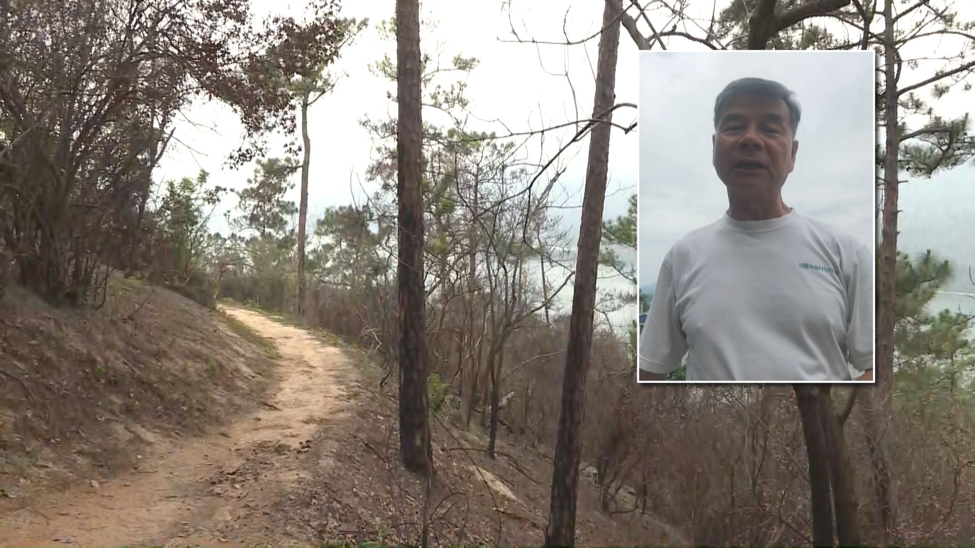 漁護署職員芝麻灣徑遭蜂螫致死 攀山專家：遭蜂群襲擊應蹲下保護頭部