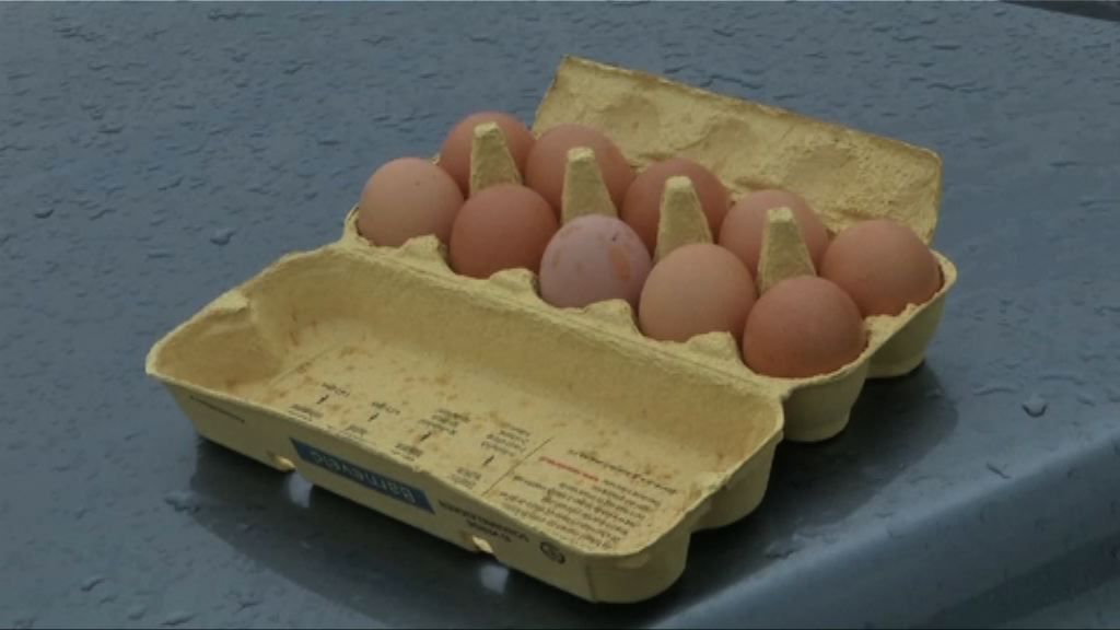 荷蘭被指大半年前已知悉毒雞蛋