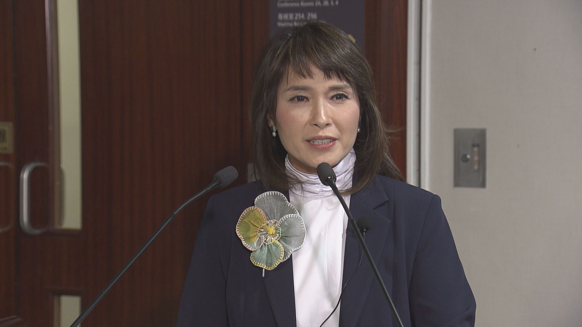 揭強制戴安全帶新例非適用所有巴士　江玉歡冀修例再上立法會經過深思熟慮