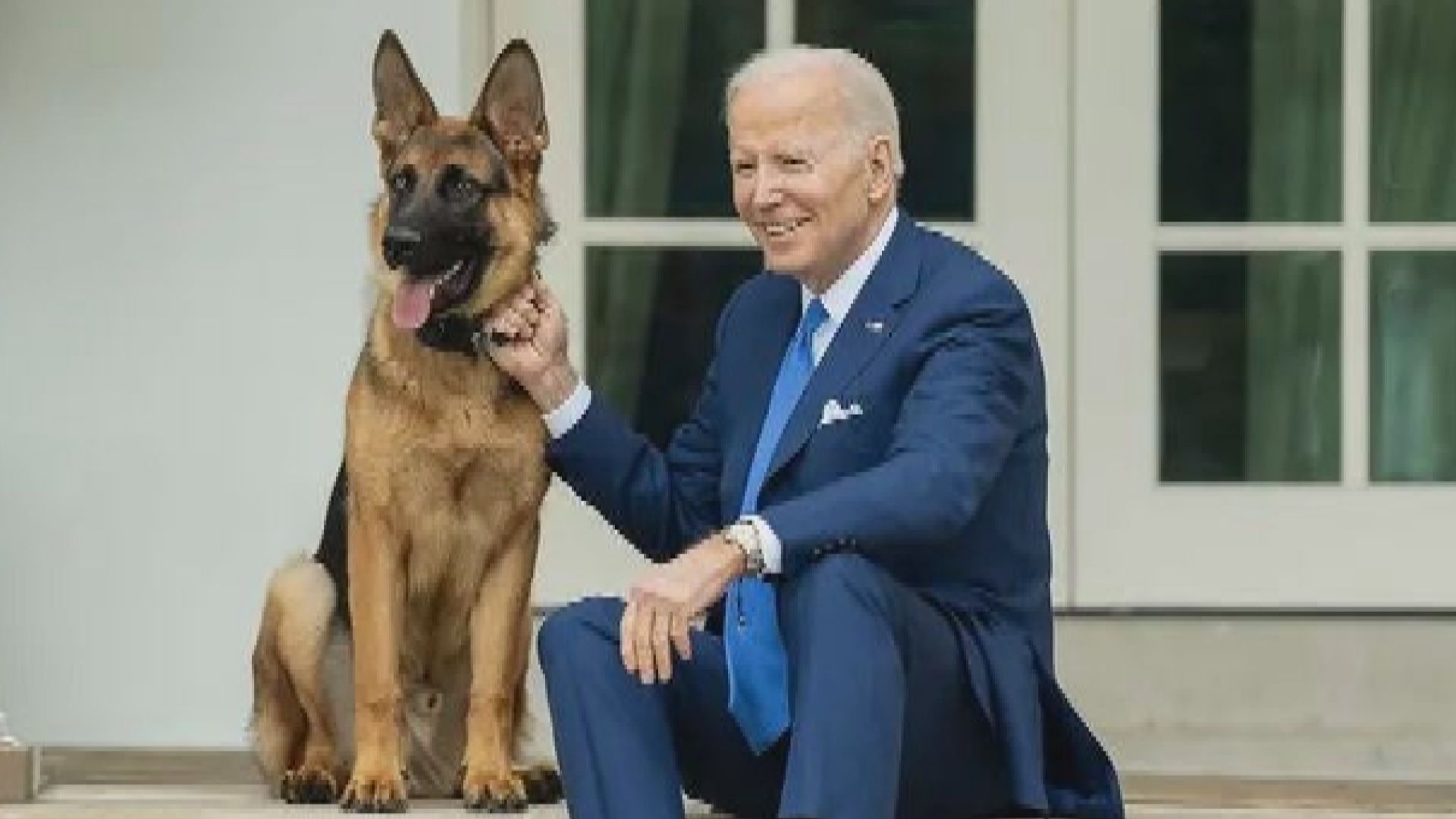 拜登愛犬被揭短期內曾攻擊或傷人多達10次
