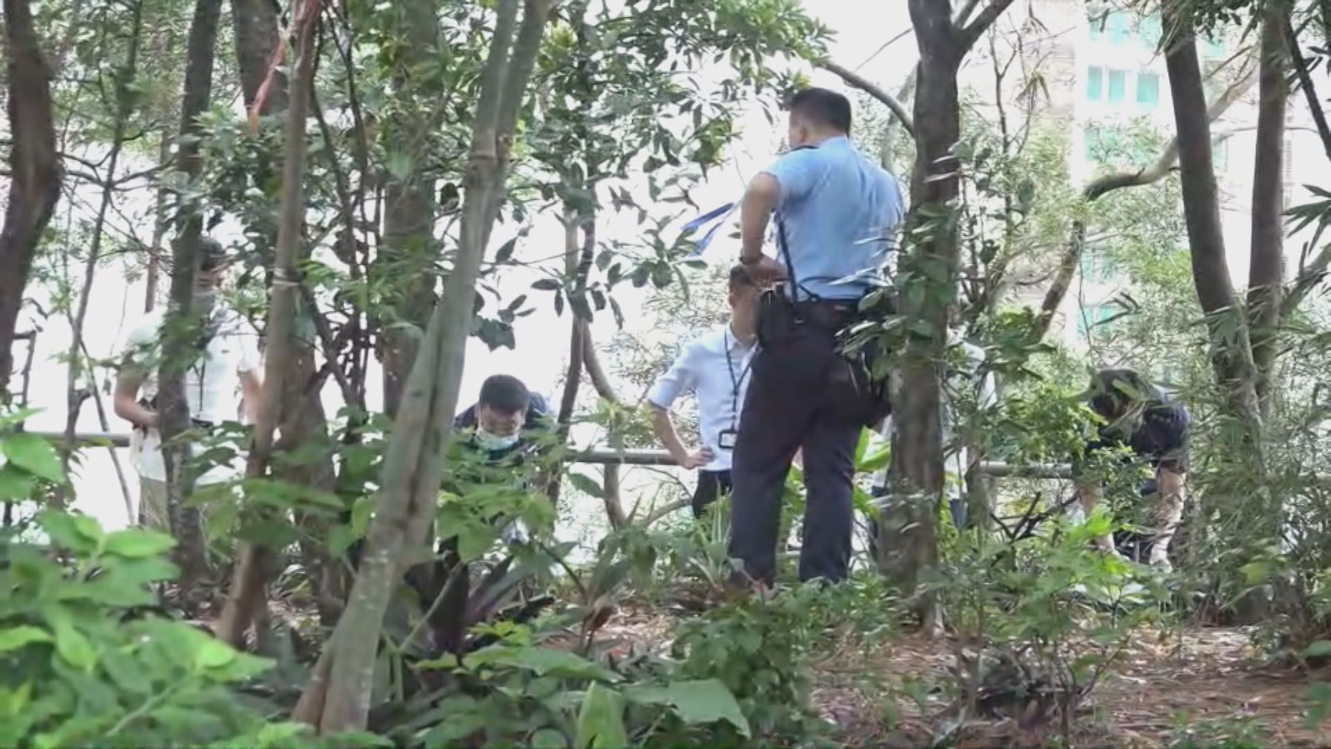 馬頭圍配水庫有大批雀鳥疑遭毒殺