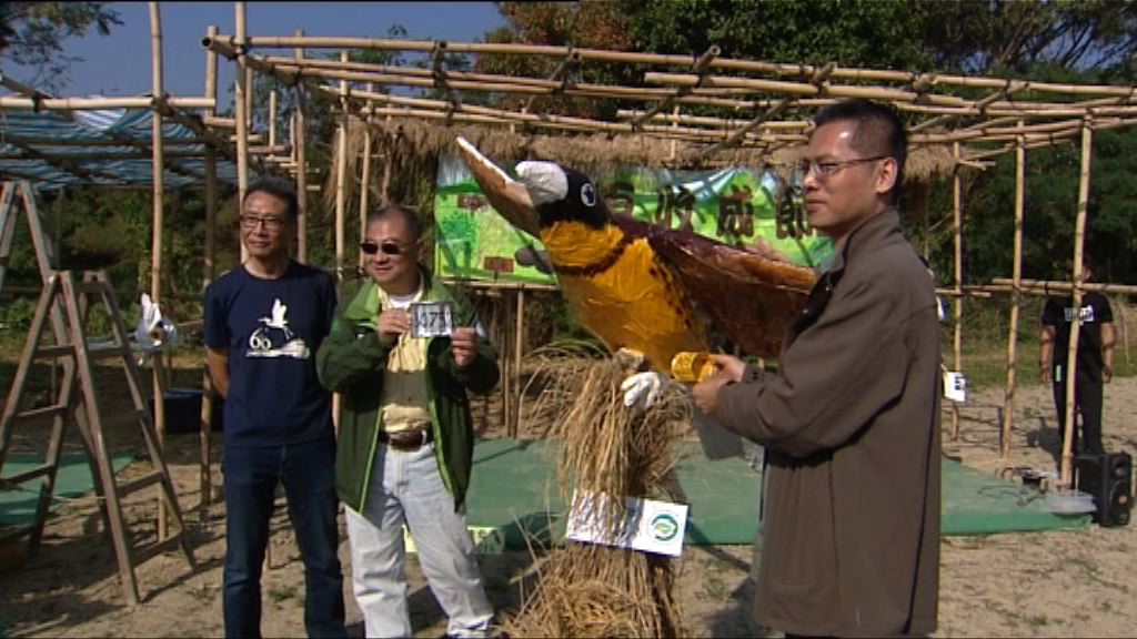 團體定禾花雀關注年促加強保育