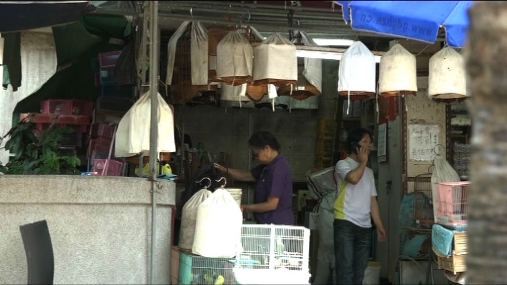 政府籲曾到雀鳥公園市民若有病徵應盡早求醫