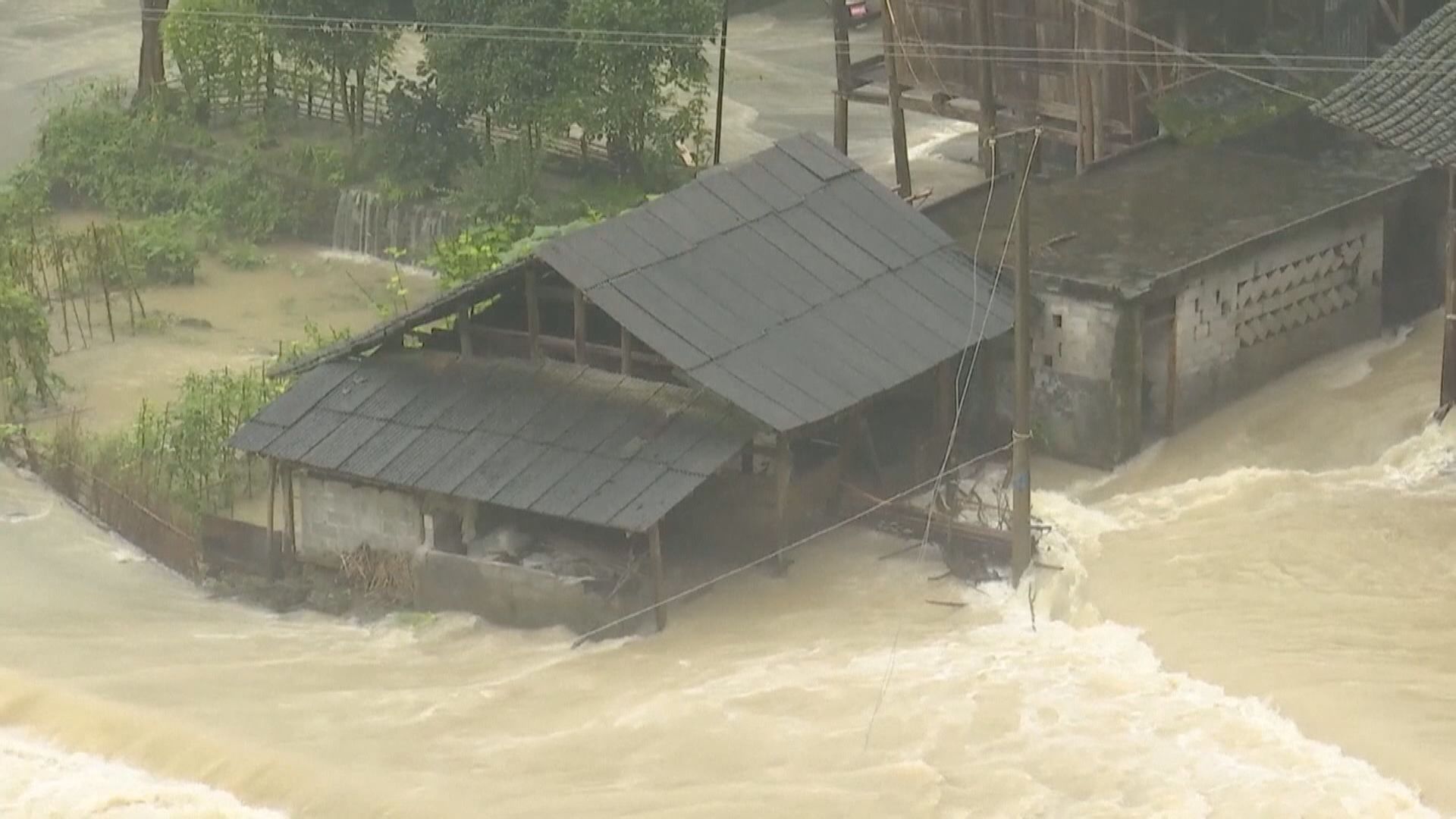 水利部：大水之年是豐收年　不影響糧食供應