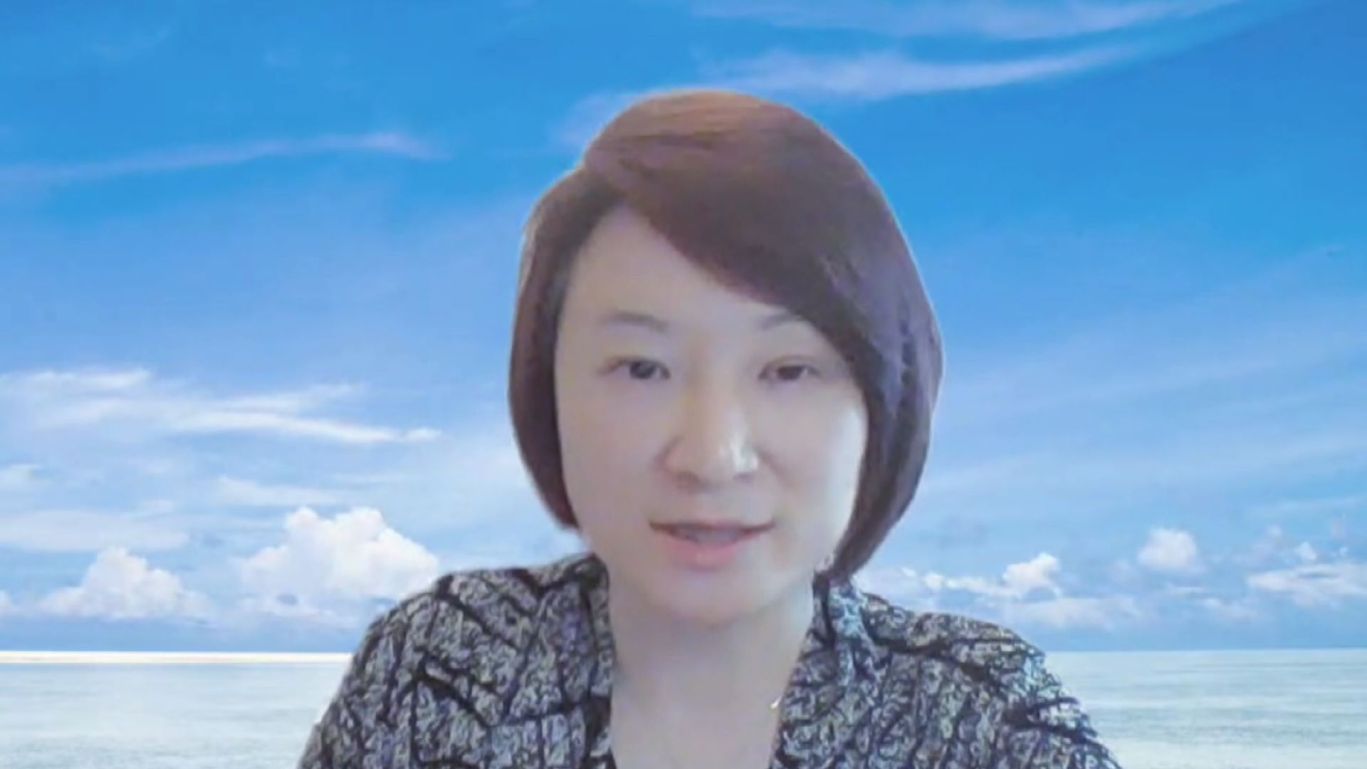 李慧琼：已向人大常委會辦公廳提交取消通關黑碼等建議