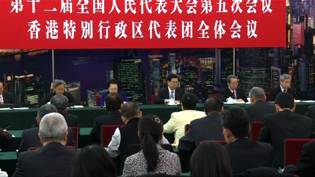 張德江聽取港區人大對政府工作報告意見