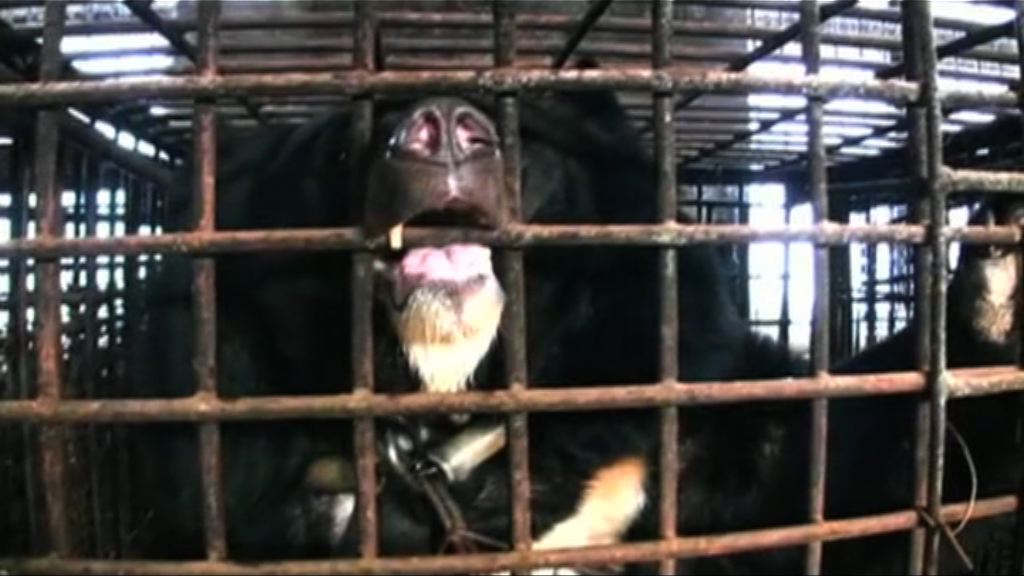 【首都專線】野生動物保護法修訂惹爭議