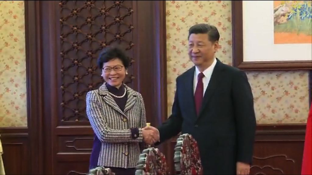 習近平接見林鄭月娥