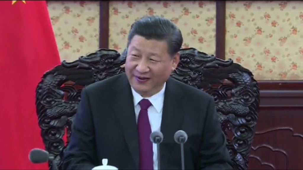 習近平對林鄭月娥工作充分肯定