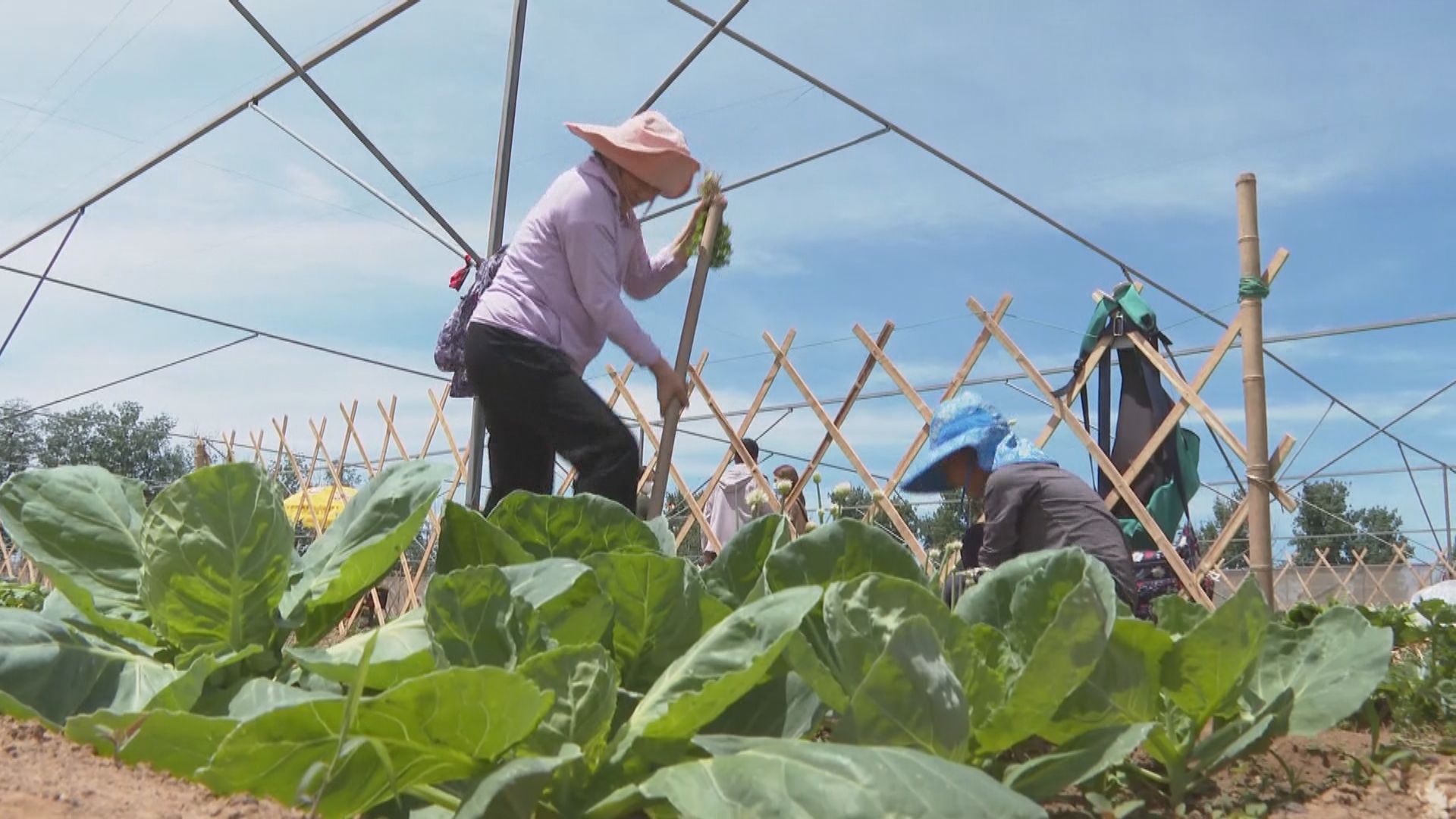 【首都專線】內地推動鄉村旅遊增收入　學者：要解決發展不平衡問題